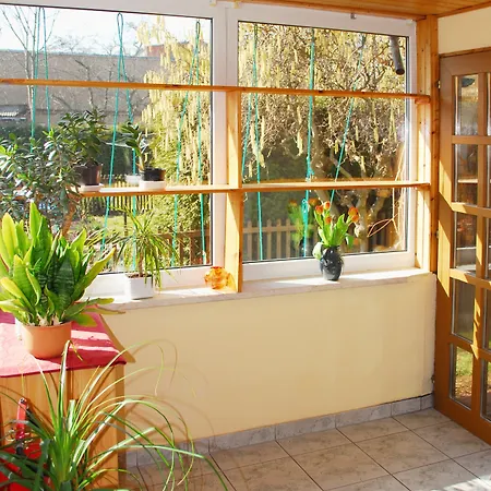 Alter Zausel Weimar (Thuringia)