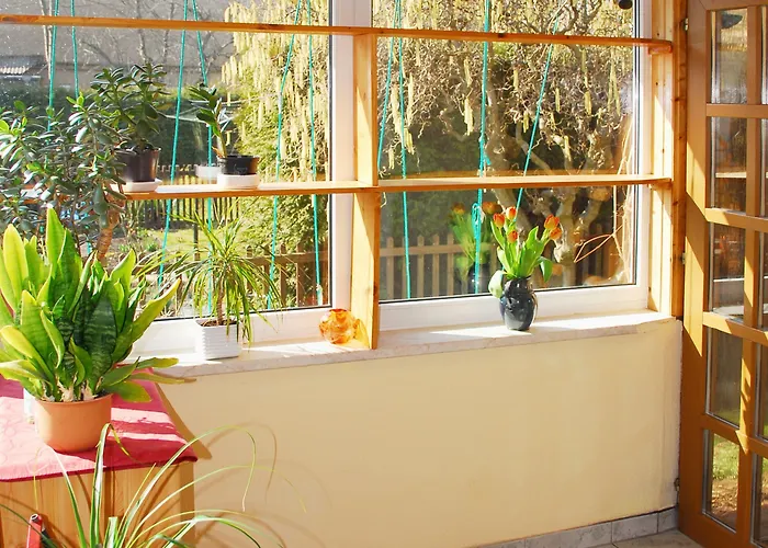 Alter Zausel Weimar (Thüringen)