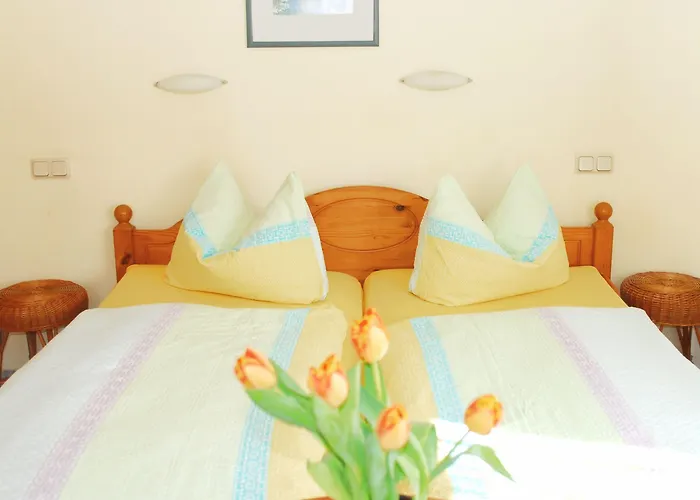 Alter Zausel Weimar (Thuringia)